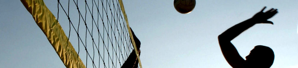 Frozen Moment - Volleyball