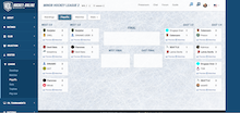 Game Screenshot - Hockey Online Manager