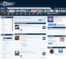 Game Screenshot - WebSimHockey