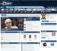 Game Screenshot - WebSimHockey