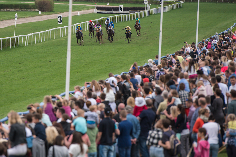 Horse race and the audience
