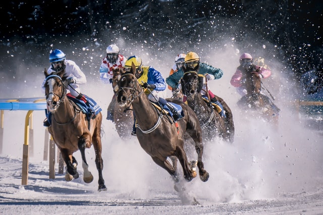 Horseracing